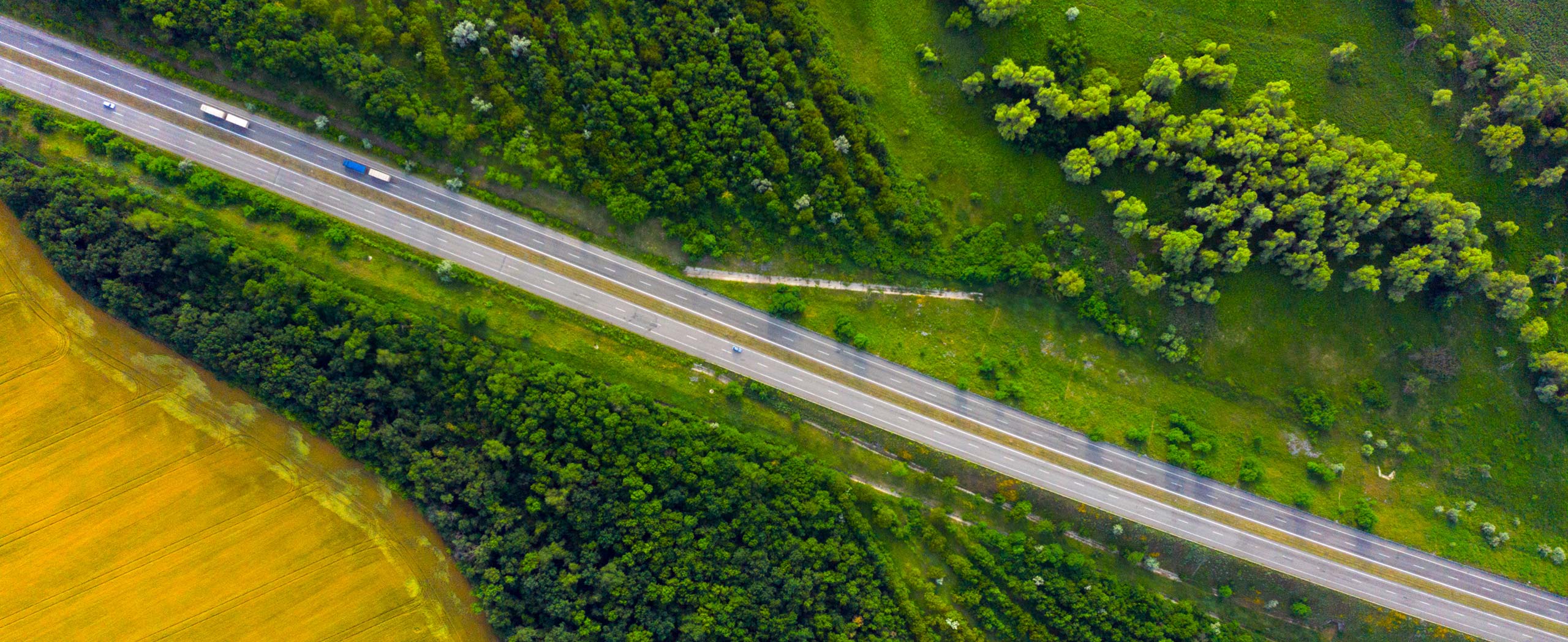 image of highway in between green grass and trees