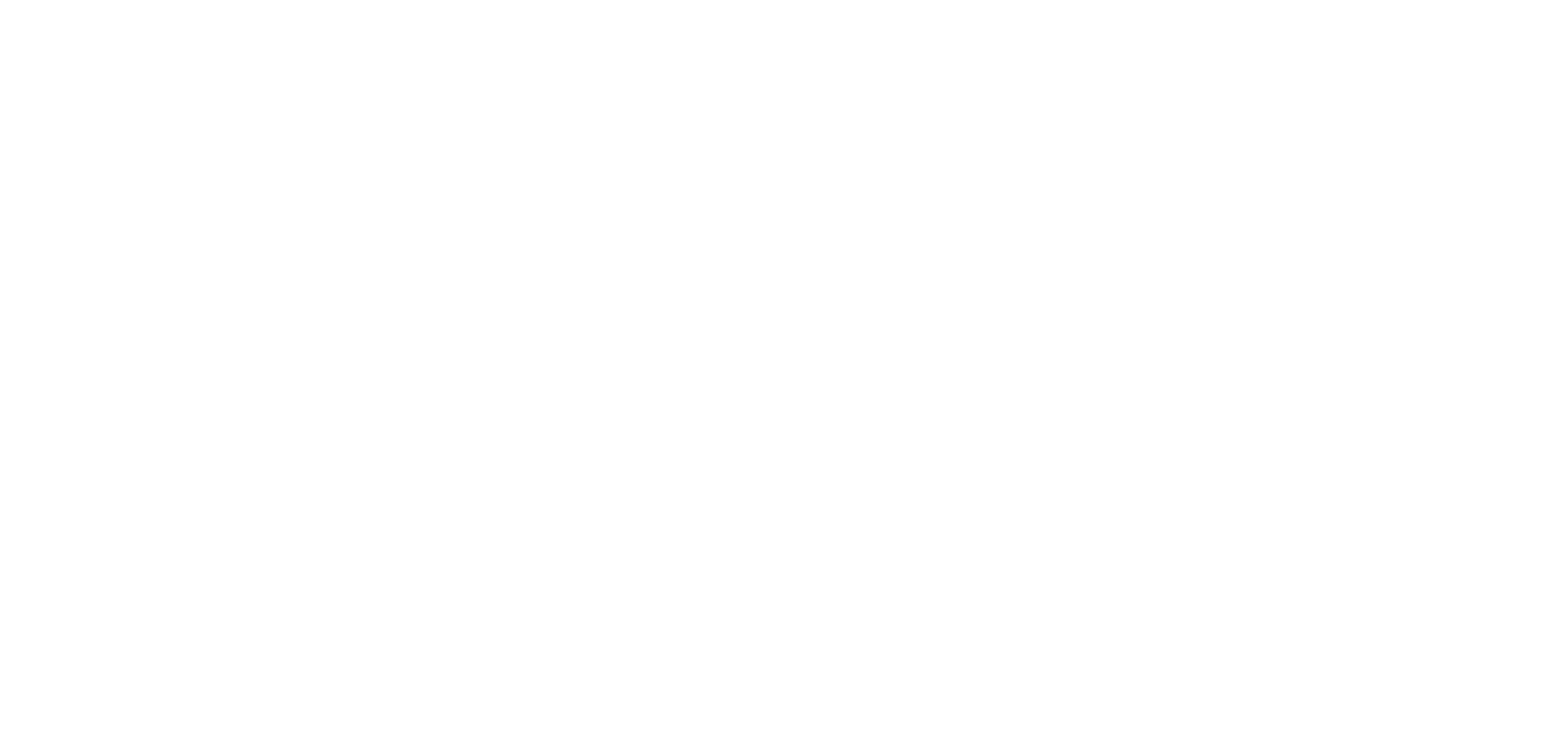 Truist Leadership Institute logo white