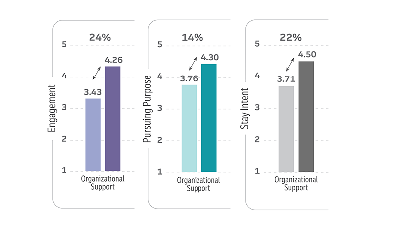 Bar graphs of orginazational support.