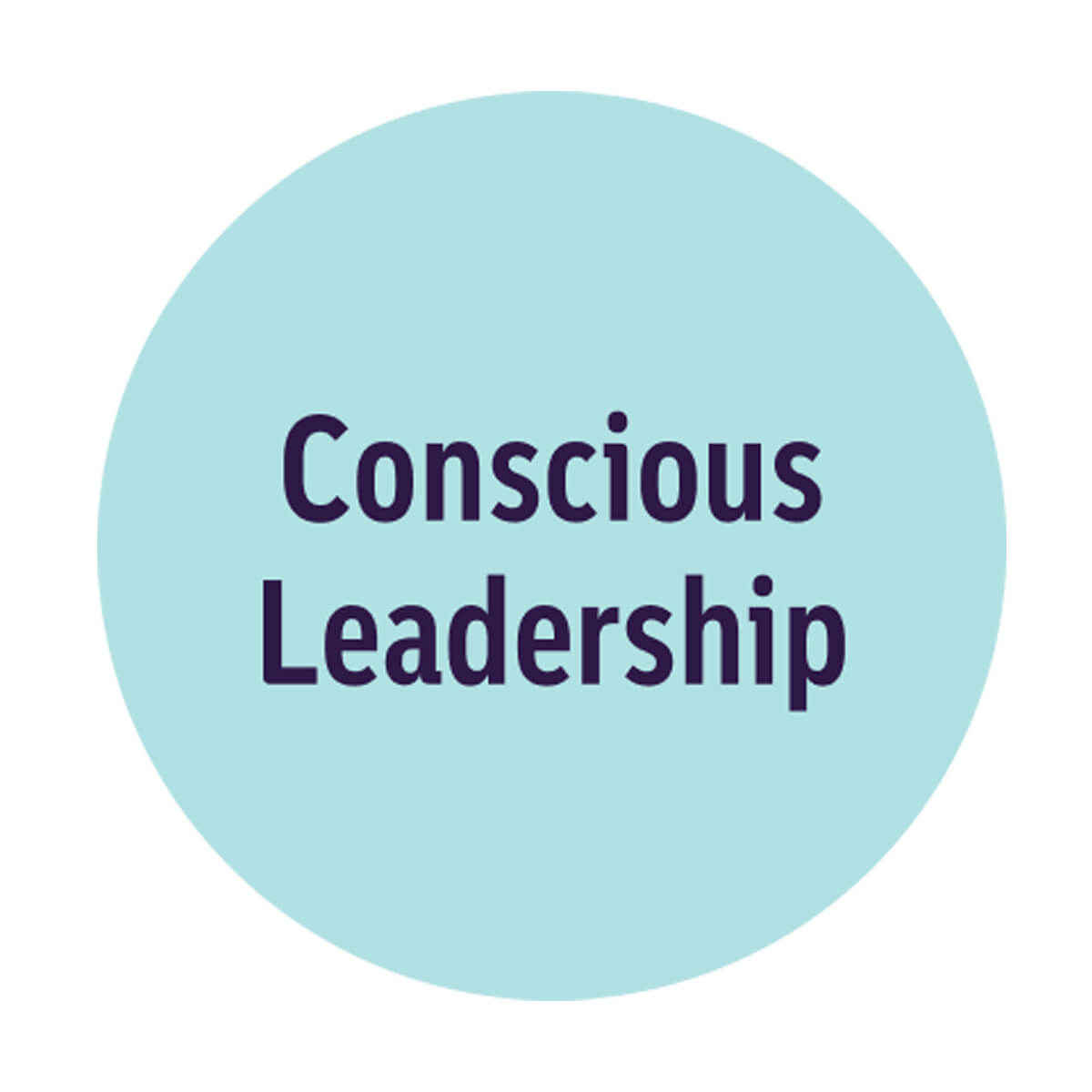 Conscious Leadership
