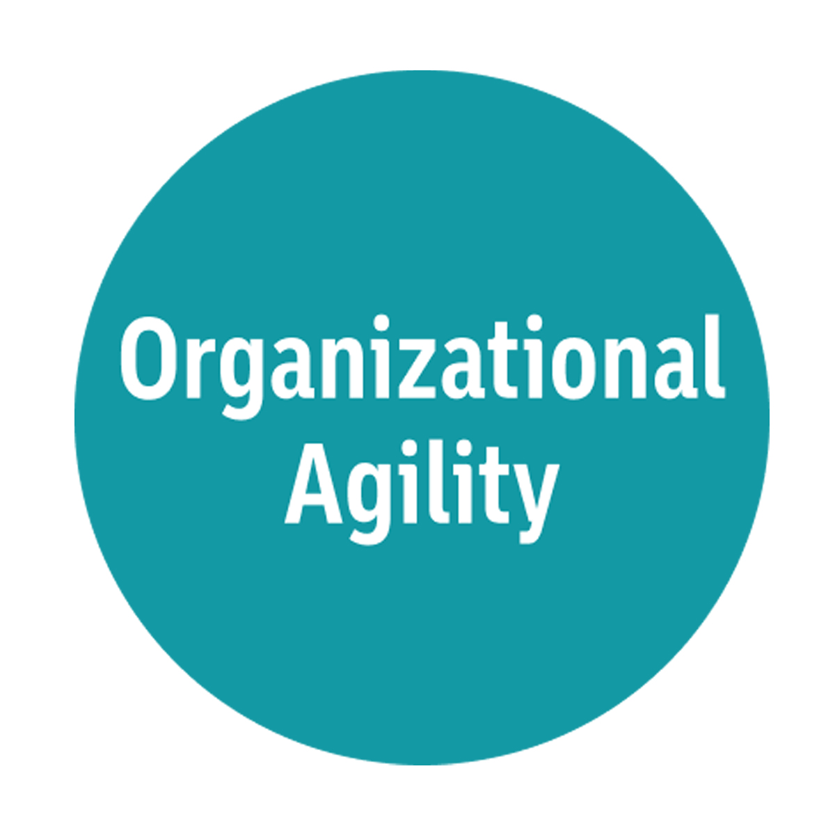 Organizational Agility