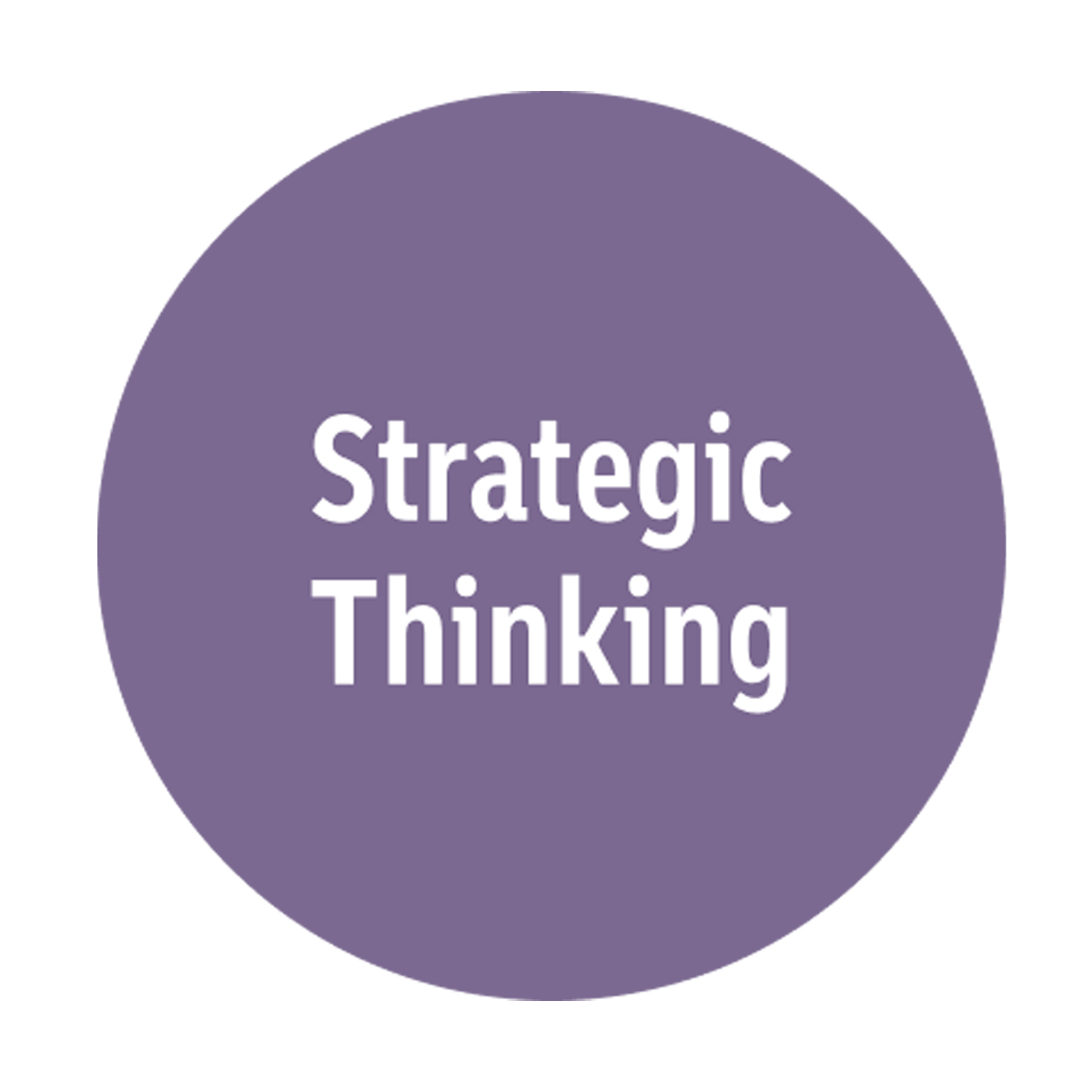 Strategic Thinking